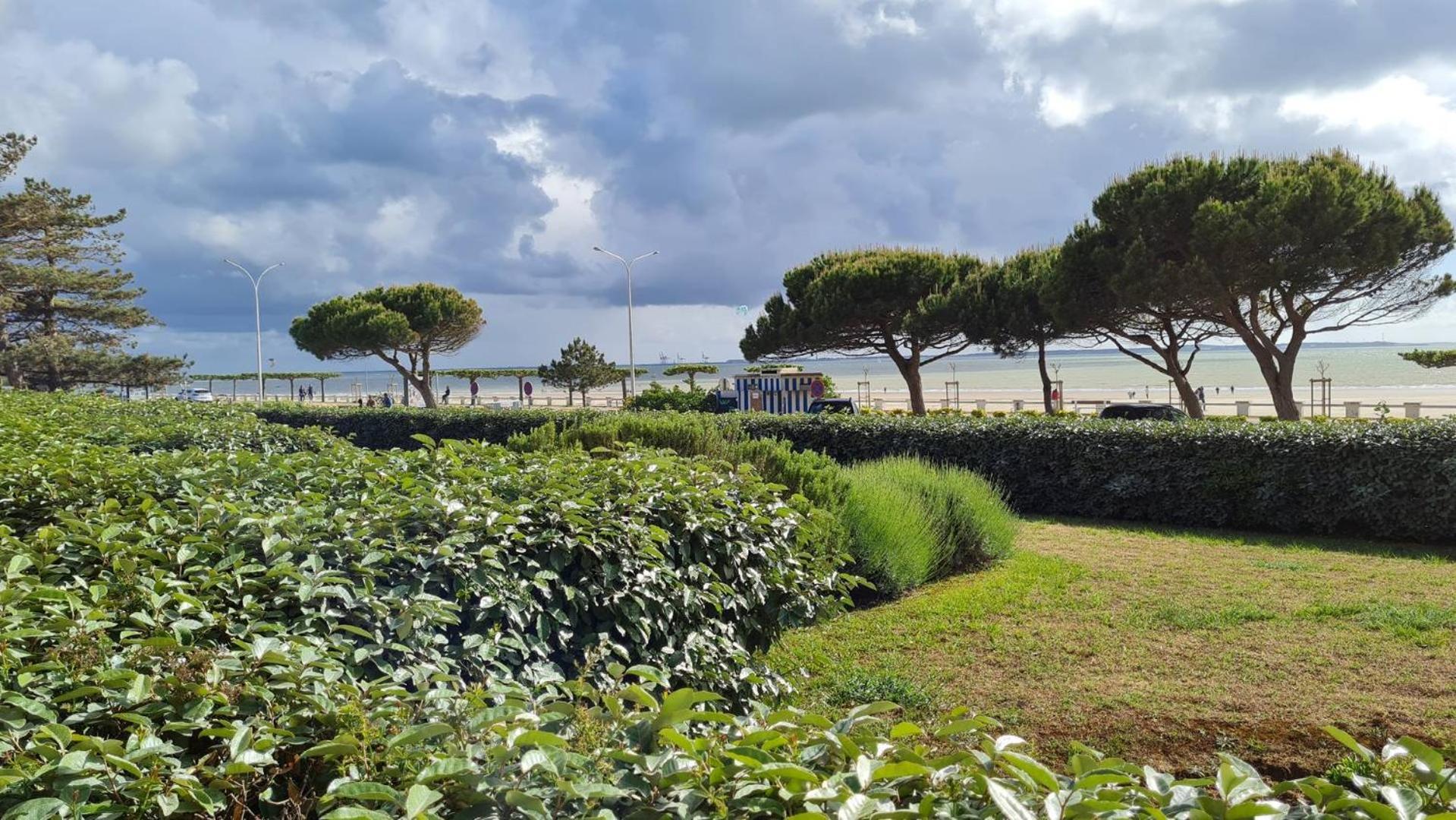 Saint Georges de Didonne - VUE MER pour ce STUDIO COSY en rez-de-chaussée Extérieur photo