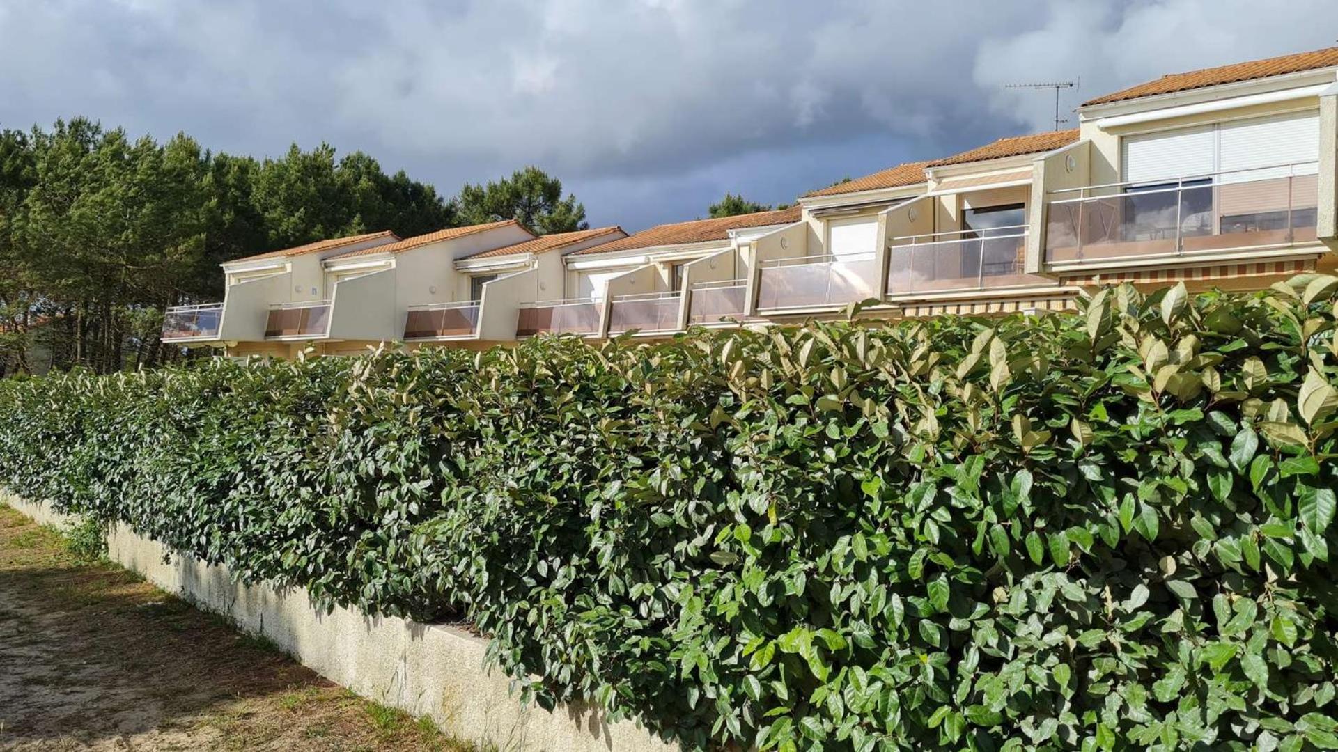 Saint Georges de Didonne - VUE MER pour ce STUDIO COSY en rez-de-chaussée Extérieur photo